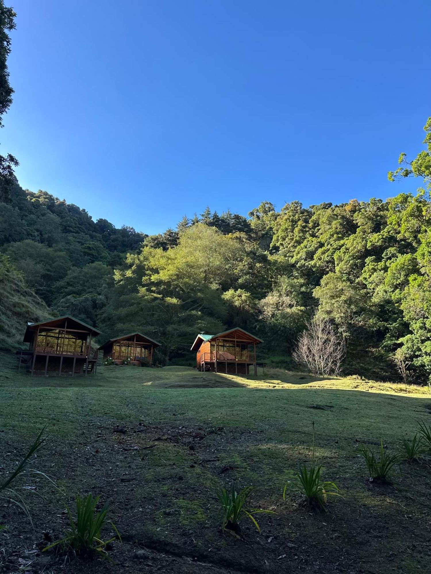 Entre Arboles Lodge Сан-Херардо-де-Дота Экстерьер фото
